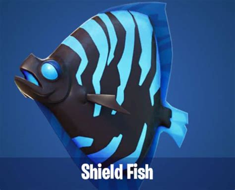 fish shield|Shield Fish .